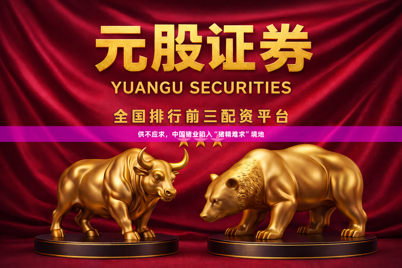 供不应求，中国猪业陷入“猪精难求”境地